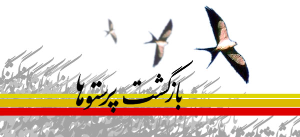 آزادگان سرافراز بهترین افراد برای روایت حماسه شهداء هستند/ زنده نگه داشتن یادشهداء با روایتگری آزادگان