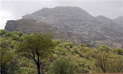 سراب قنبر کرمانشاه پارک جنگلی می‌شود