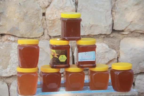 زنبورداری وصادرات عسل به استانهای مختلف / وقتی نهادهای مرتبط شهرستان دراجرای سیاستهای اقتصادمقاومتی تلاش می کنند