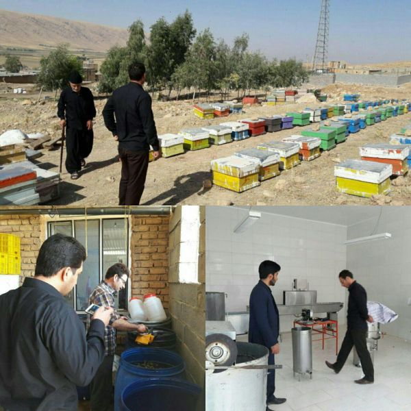 طرحهای اقتصاد مقاومتی بستر پیشرفت وتعالی کشور را فراهم کرده است / بازدید از طرح های اقتصاد مقاومتی شهرستان