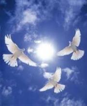  وقتی عشق به اهل بیت (ع) امین الله را حسینی می کند / از شاگرد اولی بودن شهید در جبهه علم ودانش تا شاگرد اول شدن در جبهه های حق علیه باطل