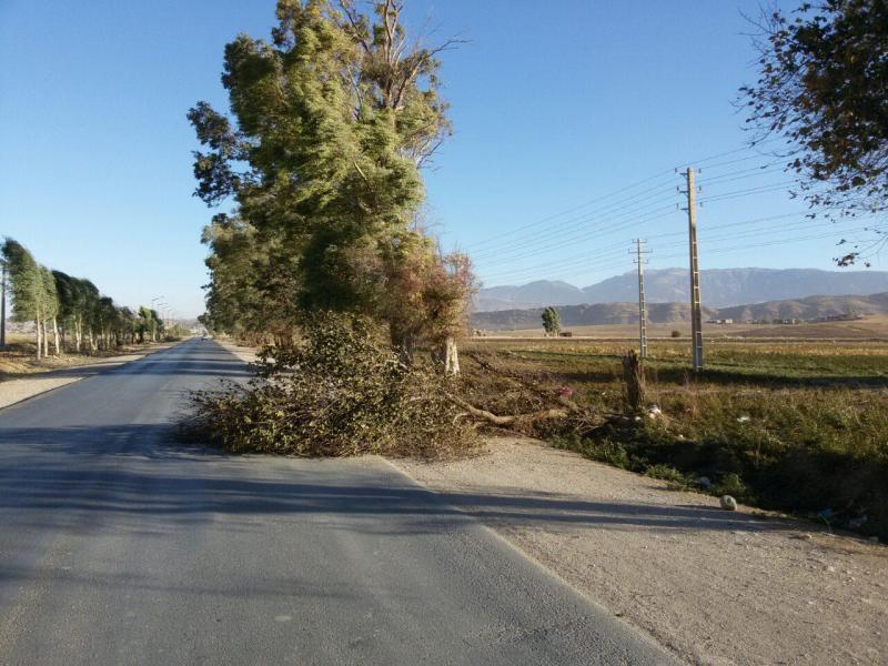 خسارتهای بسیار در شهرستان ارمغان بادهای موسمی فصل هزاررنگ/ از قطعی برق روستاها تا خساراتی که واحدهای دامی متحمل شده است