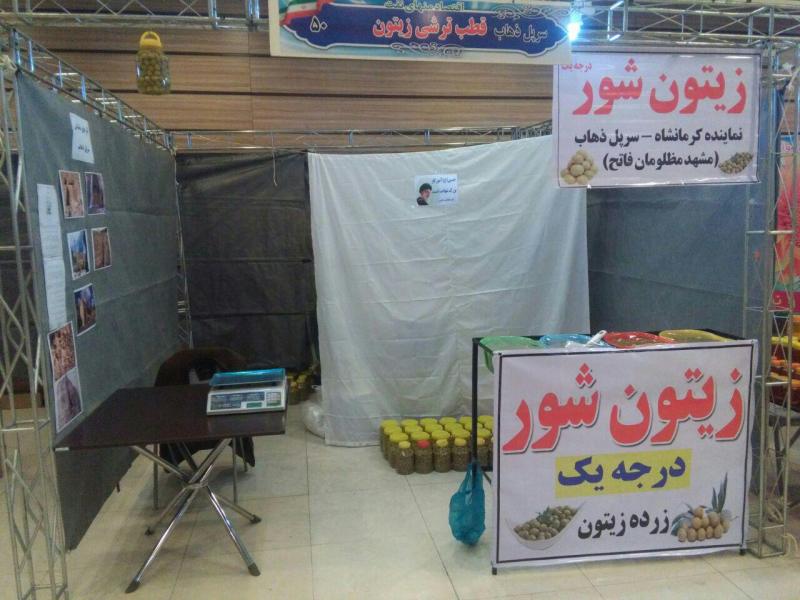 اعزام تولیدکنندگان عرصه های اقتصاد مقاومتی شهرستان به نمایشگاه سراسری تهران 