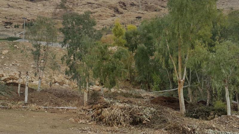 بی سرپناهی تنها یک گام تا کارتون خوابی / وقتی با تعامل میان مسئولین ذیربط هیچ کارتون خوابی مشاهده نخواهد شد