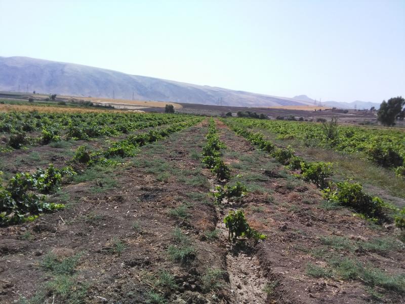  حمایت بسیج سازندگی از کارآفرینان نقش مهمی در تحقق اقتصاد مقاومتی دارد / تلاش وتجربه مهمترین عامل موفقیت درکسب و کار است