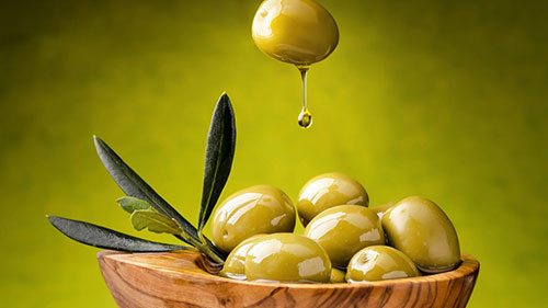 تلاش ، سرمایه و آموزش عوامل مهم در موفقیت طرحهای اقتصاد مقاومتی است / لزوم حمایت مسئولین از طرحهای فرآوری زیتون در شهرستان