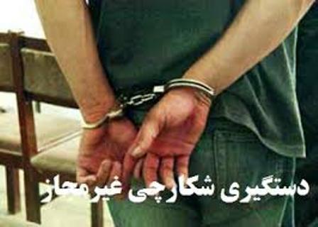 درگیری شکارچیان متخلف با محیط بانان / متخلفین دستگیر وتحویل مراجع قضایی شدند