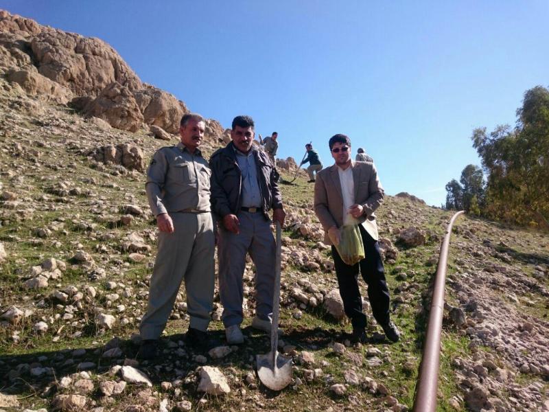 کاشت بلوط در ارتفاعات شهرستان بمناسبت گرامیداشت هفته هوای پاک