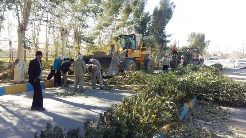  تخریب فضای سبزحاشیه شهر به بهانه هرس درختان / قطع بی رویه و غیراستاندارد اشجار با چه مجوزی انجام می شود؟