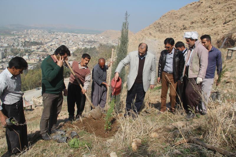 حفاظت از فضای سبز شهرستان یک وظیفه عمومی است / کاشت یک هزار اصله نهال به مناسبت روز درختکاری در شهرستان 