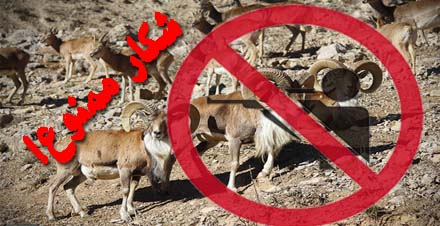 شکار غیر مجاز گونه های مختلف جانوری را به خطر می اندازد / دستگیری3 نفر شکارچی غیر مجاز در منطقه صعب العبور دهستان قلعه شاهین