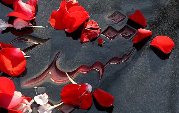  شهیدی که با قرآن و نهج البلاغه مانوس بود / از پخش اطلاعیه های امام تا برگزاری مراسمات مذهبی در محل