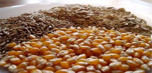 کشف وضبط 6 تن خوراک طیور غیرمجاز در شهرستان