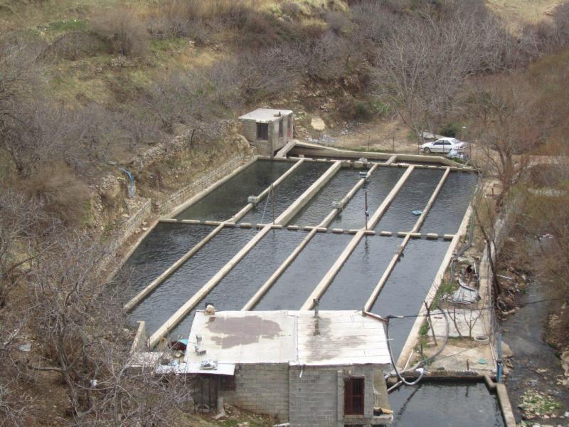  اقتصادمقاومتی بستری مهم برای اشتغالزایی و رونق تولیدات داخلی است / نقش مهم مزارع پرورش ماهی در تولید و اشتغال