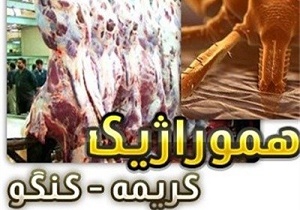  بیماری تب کریمه کنگو در جمعیت دامی شهرستان مشاهده نشده است / لزوم رعایت موارد پیشگیرانه در ذبح دام 