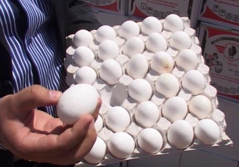 مردم تخم مرغ را از مراکز فروش معتبرتهیه کنند / کشف وضبط تعداد ۲هزار تخم مرغ فاسددرشهرستان