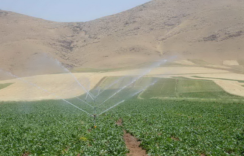  تغییر الگوی کشت مهمترین راهکار صرفه جویی آب است