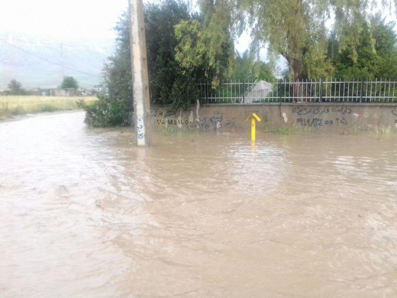 خسارت بیش از7 میلیاردی بارش بارندگی و تگرگ اخیر به بخش زراعی و باغات شهرستان