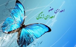 پدر زلزله زده ای که به پاس زحمات مردم ایران اعضای بدن پسرش را اهدا کرد