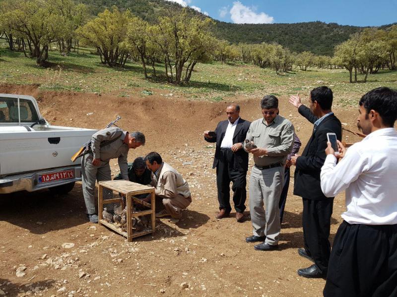 اقدامات یگان حفاظت محیط زیست سرپل ذهاب درراستای حفاظت از محیط زیست و زیستگاه های طبیعی