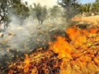 سه هکتار از مراتع جنگلی گیلانغرب در آتش سوخت