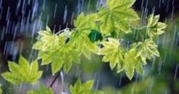 وقوع بارندگی در برخی نقاط کشور