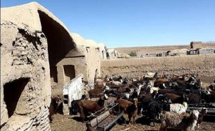 کشف ۲۴ کیلوگرم موادمخدر در یک «طویله» /دستگیری یک متهم زن