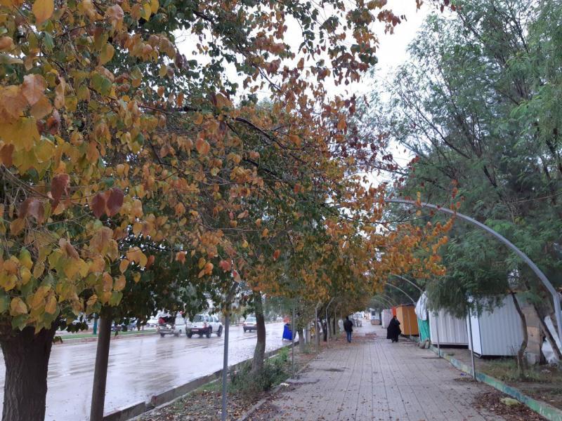 ادامه بارندگی،کاهش دمای روزانه ازمهمترین پدیده های جوی در شهرستان خواهد بود