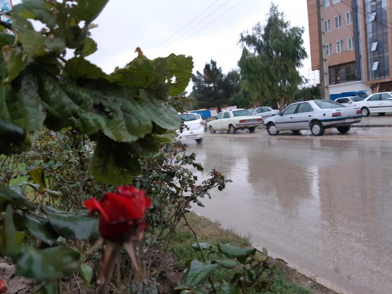 بارش 16 میلیمتری باران در سرپل ذهاب/کاهش دمای هوا وبارندگی پدیده های محسوس هفته جاری