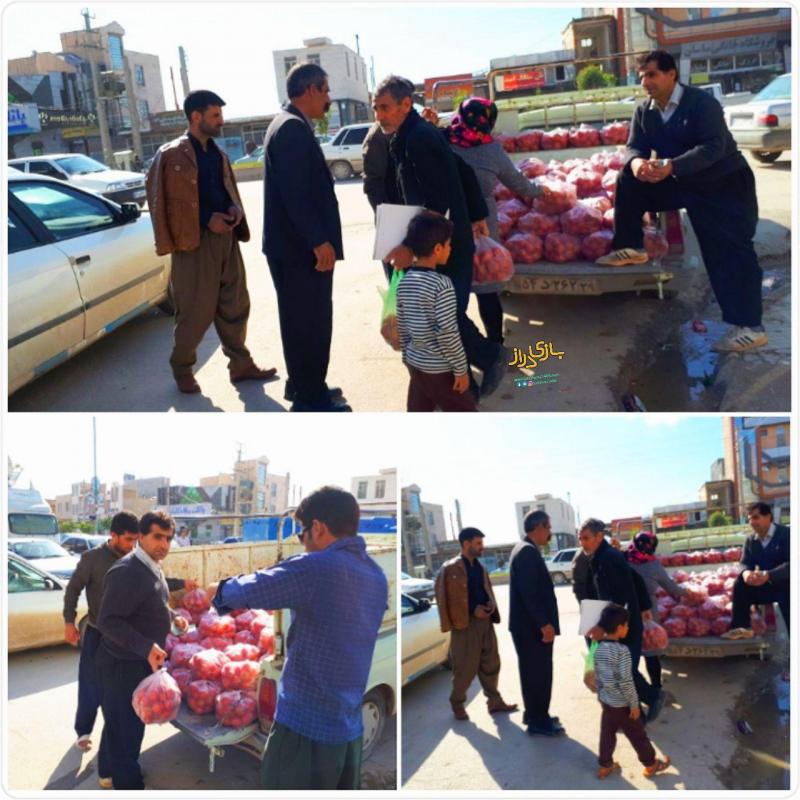  کشف و ضبط ۶ تن گوجه فرنگی قاچاق در مرز پرویزخان شهرستان قصرشیرین