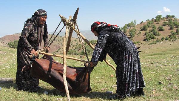 عشایر جامعه تولید کننده استان هستند / پرداخت تسهیلات اشتغالزایی به عشایر استان