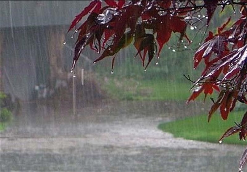 میانگین بارندگی سال زراعی جاری شهرستان سرپل ذهاب به 442 میلیمتر رسید