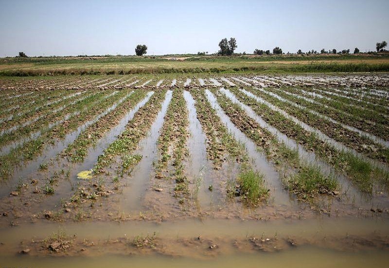 سود و زیان سیلاب برای کشاورزی
