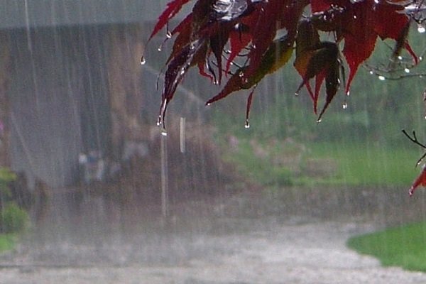 بیش از 7 میلیمتر باران در سرپل ذهاب به ثبت رسیده است