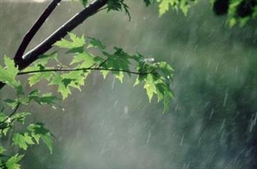 بارش باران الهی در سرپل ذهاب ادامه دارد/ ثبت بیش از 11 میلیمتر باران در شهرستان