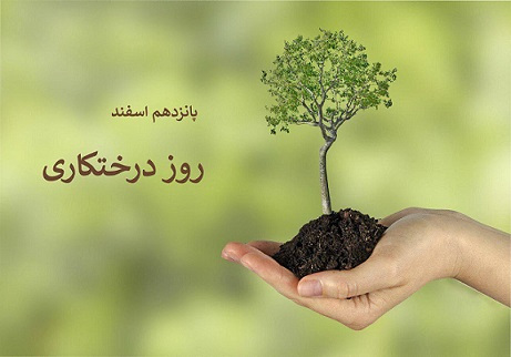 درختکاری موجب زنده ماندن فضای سبز می شود / لزوم توجه ویژه مردم به امر درختکاری در شهرستان