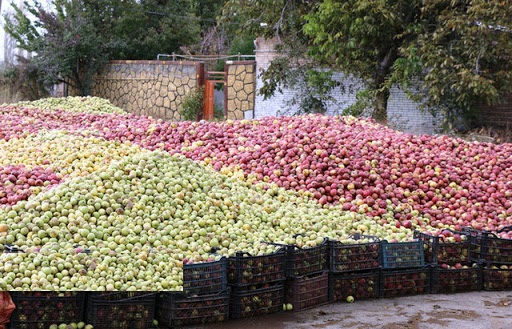 جمع آوری فروشندگان میوه و تره بارهای مرجوعی از بازارچه های مرزی