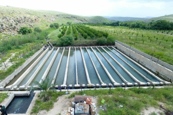 دهه فجر یادآور رهایی ملت از استثمار و استعمار مستکبران است / رتبه اول شهرستان در تولید ماهی خاویاری در استان