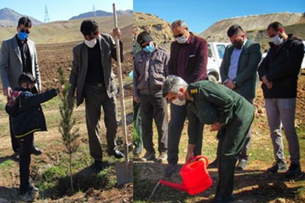 در روز درختکاری ۲۸۰۰ اصله نهال در شهرستان هرسین غرس شد.