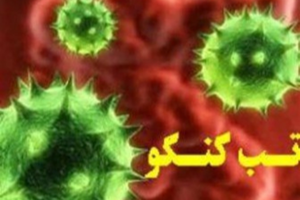 تایید فوت یک نفر بر اثر تب "کریمه‌کنگو" در روانسر