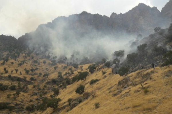 حریق دوهکتار از اراضی جنگلی و سوختگی یک نفر از نیروهای مردمی در اثر صاعقه