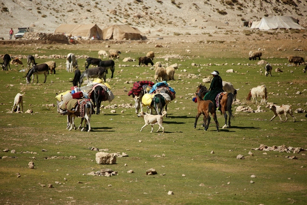 آغاز کوچ پاییزه عشایر شهرستان به مناطق قشلاقی
