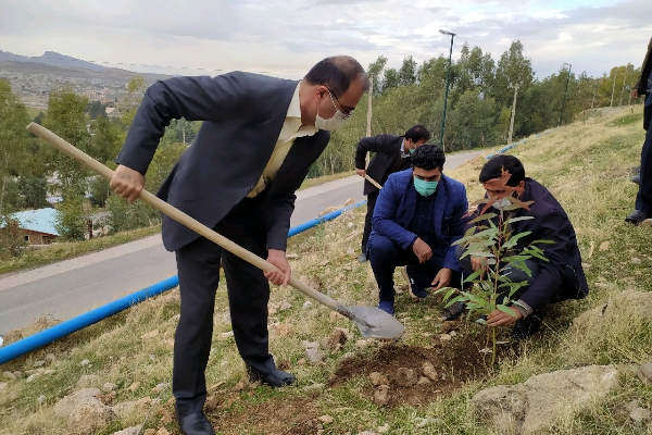 کشت نهال به مناسبت روز جهانی خاک و به یاد شهید محسن فخری زاده و شهدای سلامت در سرپلذهاب