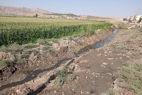 بازدید مسئولین سرپلذهاب از  مشکلات دفع آبهای سطحی روستاهای الحاقی پاونار و زعفران