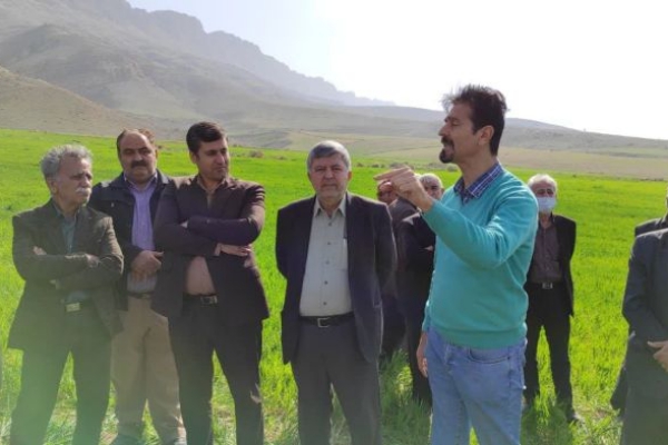 طرح جهش تولید، در دیم زارهای دهستان بشیوه سرپل ذهاب اجرایی شد