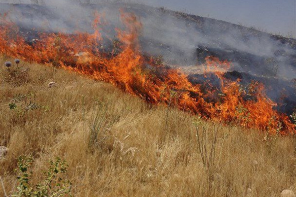 آتش سوزی تهدیدی برای فصل برداشت گندم در مناطق گرمسیر است/ کشاورزان به توصیه های کارشناسان و مسئولین توجه کنند