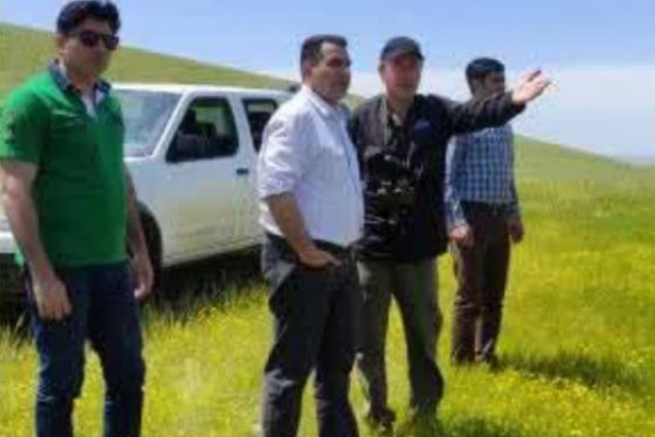 بازدید میدانی کارشناسان سازمان حفاظت محیط زیست پناهگاه حیات وحش قراویز سرپل ذهاب