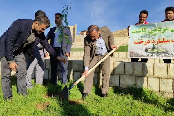در شهرستان سرپل ذهاب اقدام به کاشت نهال شد.