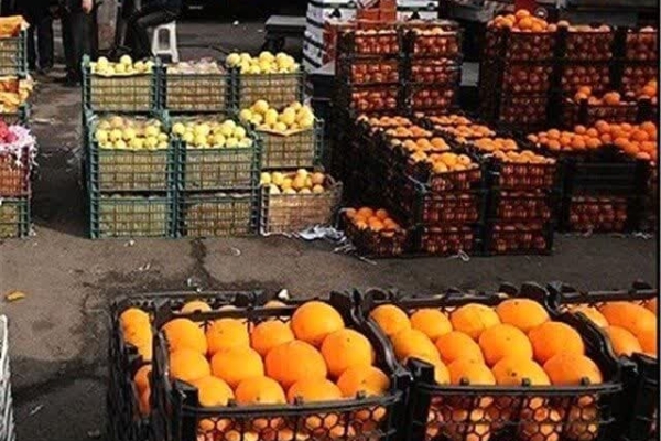اختصاص ۶۵تن میوه برای عرضه با قیمت‌دولتی در بازار شهرستان