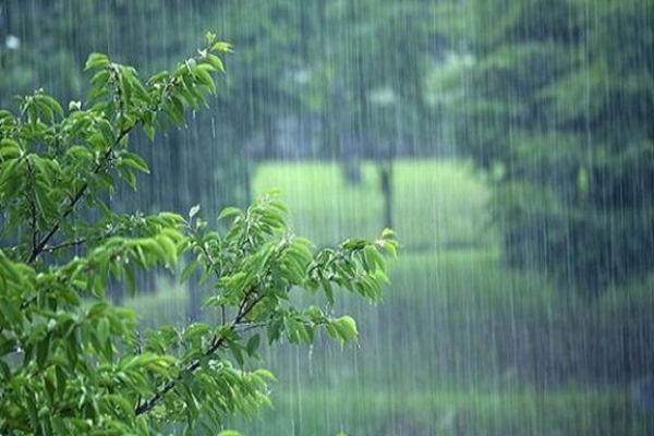 بارش باران در اغلب استان‌های کشور/ خیزش گرد و خاک در نوار شرقی